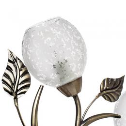 Потолочная люстра Arte Lamp Anetta  - 3